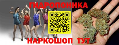 Альфа ПВП Северобайкальск
