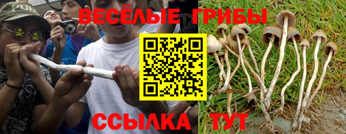 Галлюциногенные грибы мицелий  Галлюциногенные грибы MAGIC MUSHROOMS  Славянск-на-Кубани  Вход с VPN 