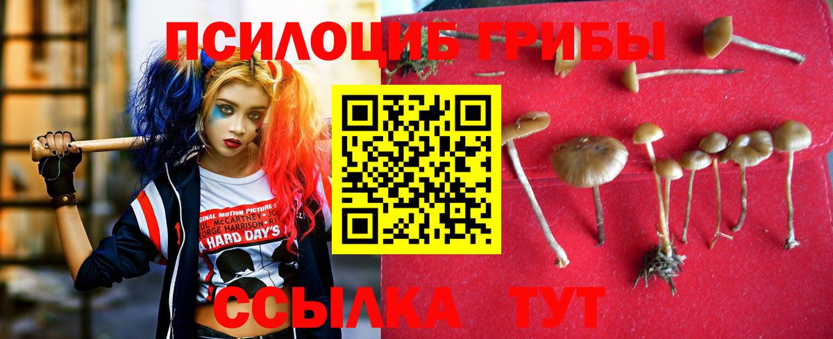 Псилоцибиновые грибы MAGIC MUSHROOMS Славянск-на-Кубани
